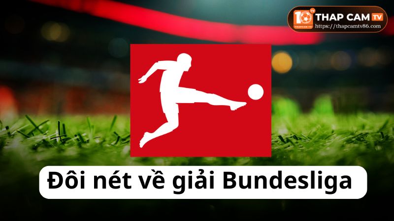 Đôi nét về giải Bundesliga