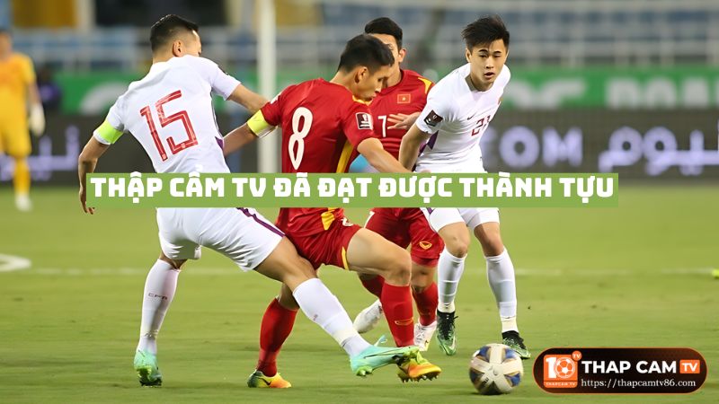 Thập Cẩm TV đã đạt được những thành tựu nhất định 