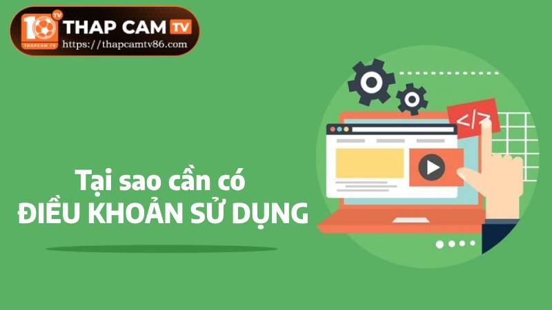 Tại sao cần phải ban hành điều khoản sử dụng?