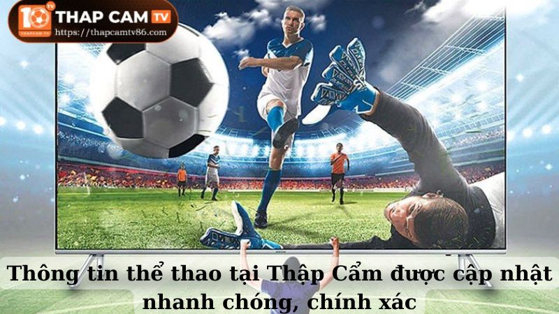 Thông tin thể thao tại Thập Cẩm được cập nhật nhanh chóng, chính xác