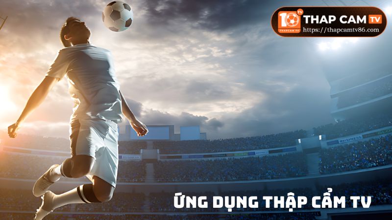 Ứng dụng thapcamtv có cả trên 2 hệ điều hành phổ biến là Android và iOS